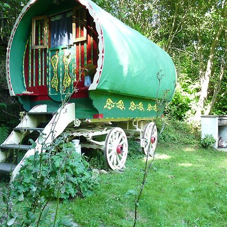 Villa Romany Wagon & Cwtch Llandysul Exterior foto