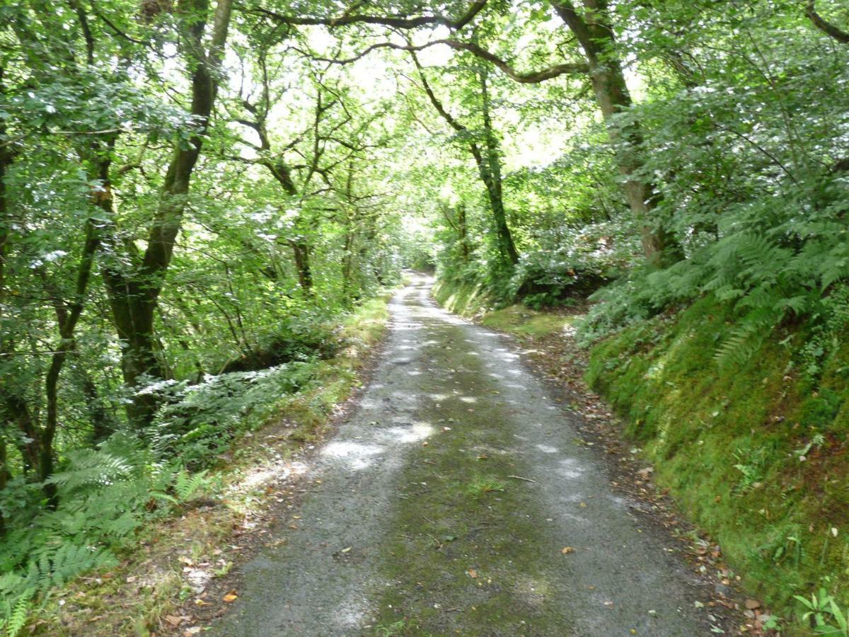 Villa Romany Wagon & Cwtch Llandysul Exterior foto